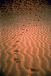 Dune - Oltre lo sguardo - Tommaso Cambi